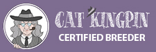 Cat kingpin